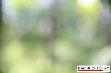 Währing überholt Donaustadt: Wiens neuer Immobilien-Hotspot!