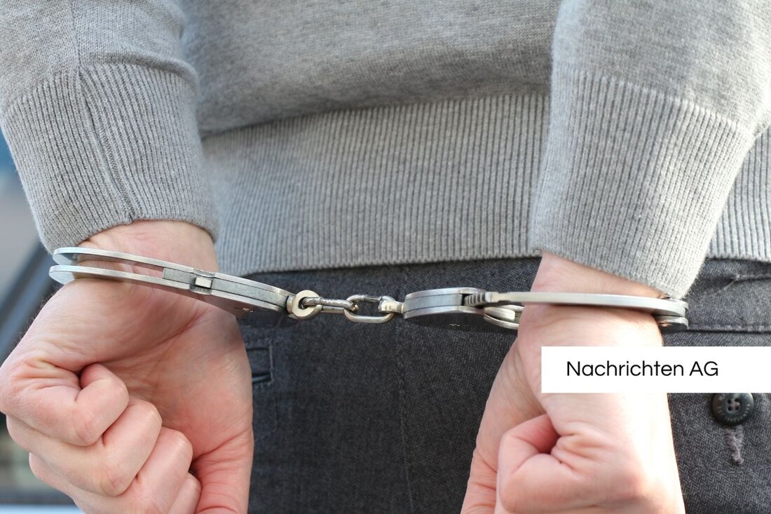 Ein 52-Jähriger wurde wegen Mordes an einer 91-Jährigen in Wien zu lebenslanger Haft verurteilt. Täter gestand grausame Taten.