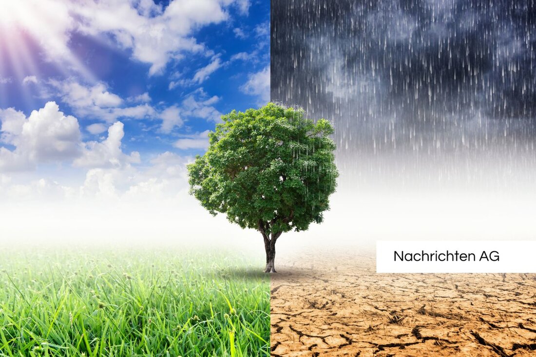 Am 2. Juni 2025 stellte Wien seine neuen Grünen Stadträte vor, einschließlich Georg Prack als Klubobmann. Schwerpunkte: Klimaschutz und leistbares Wohnen.