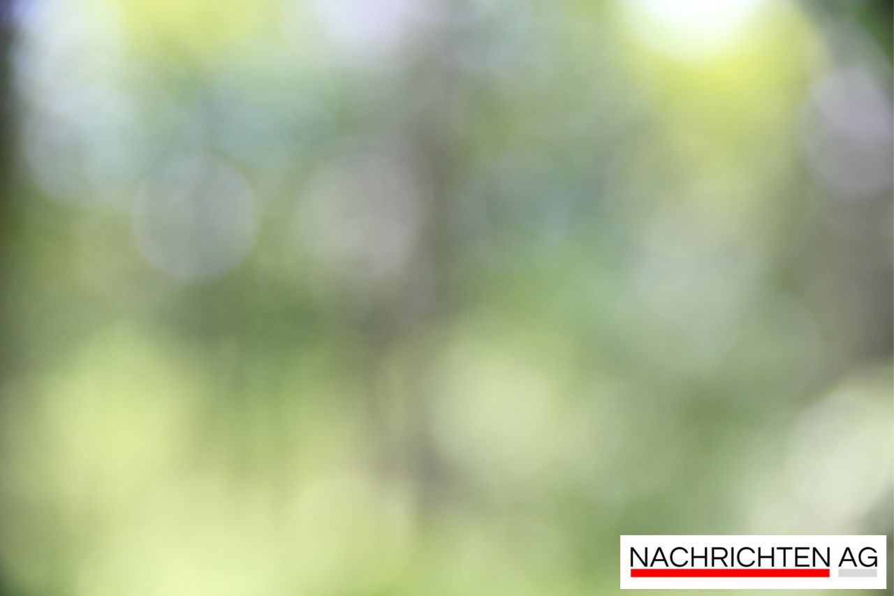 Entdecke den Forsthauspark: Ein sehbehinderter Journalist auf Spurensuche!